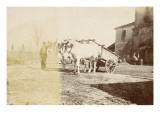 Cart Drawn by Two Oxen and a Peasant in the Farmyard Giclee Print