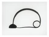 Large Arc Bent Fibula Embattled Side Spring to a Coil Giclee Print