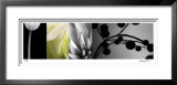 Fusion I Limited Edition Framed Print by Anthony Tahlier