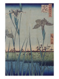Jardin d'iris orikiri reproduction procédé giclée par Utagawa Hiroshige