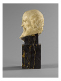 Saint Jérôme Giclee Print by Ligier Richier