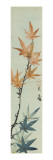 Branche d'érable Reproduction procédé giclée par Katsushika Taito II