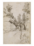 Paysage ; route bordée de rochers abrupts et d'arbres près de Nuremberg Giclee Print by Albrecht Dürer