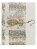 Liber Floridus by Lambert of Saint-Omer: Crocodile Lámina giclée Liber Floridus by Lambert of Saint-Omer: Crocodile Lámina giclée