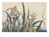 Iris et sauterelle reproduction procédé giclée par Katsushika Hokusai
