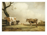 La prairie Lámina giclée por Paulus Potter La prairie Lámina giclée por Paulus Potter