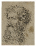 Tête de vieillard reproduction procédé giclée par Martin Schongauer