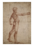 Homme nu casqué, tourné vers la droite le bras droit tendu Giclée-tryk af Luca Signorelli
