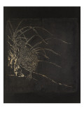 Poule d'eau Giclee Print by Lijing Zhou