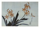 Orchidées orange Giclee Print by Katsushika Hokusai