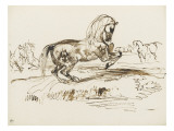 Cheval cabré dans un paysage et autres études de chevaux Giclee Print by Eugene Delacroix