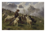 Berger des Pyrénées donnant du sel à ses moutons Giclee Print by Rosa Bonheur