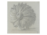 Modèle de récipient (vase ou jardinière) en forme de marguerite Giclée-tryk af Emile Gallé Modèle de récipient (vase ou jardinière) en forme de marguerite Giclée-tryk af Emile Gallé