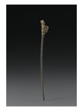 Pin-Pointed Fusiform Surmounted by Two Coupled Caprid Giclee Print
