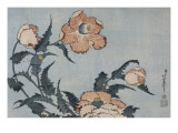 Fleurs de pavot dans la brise Lámina giclée por Katsushika Hokusai
