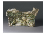 Chapiteau décoré de coquillages, élément de la grotte des Tuileries Lámina giclée por Bernard Palissy