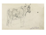 Etude de vache Giclee Print by Emile Wauters