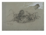 Etudes de lion reproduction procédé giclée par Rosa Bonheur
