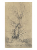 Etude d'arbres Giclee-trykk av Richard Parkes Bonington