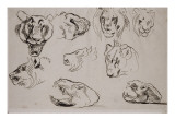 Sept études de têtes de lions, lionne ou tigre et deux études de crane de lion Giclee Print by Eugene Delacroix