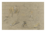 Etude de lions, de pattes et de griffes reproduction procédé giclée par Pieter Boel