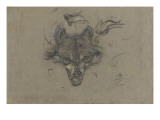 Etude d'un renard Giclee Print by Pieter Boel