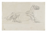 Etude d'un lion écorché reproduction procédé giclée par Eugene Delacroix
