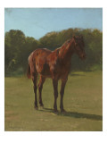 Etude de cheval bai cerise Giclee-trykk av Rosa Bonheur