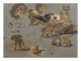 Etude de lions, de lionnes et de lionceaux, 17 esquisses Lámina giclée por Rosa Bonheur
