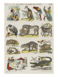Les animaux du jardin des Plantes Lámina giclée Les animaux du jardin des Plantes Lámina giclée