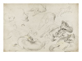 Etude de loups Lámina giclée por Pieter Boel Etude de loups Lámina giclée por Pieter Boel