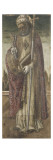 Saint Pierre Giclee Print by Vittore Crivelli