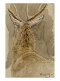 Etude de cerf reproduction procédé giclée par Rosa Bonheur