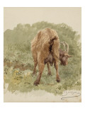 Etude de chèvre Giclee-trykk av Rosa Bonheur