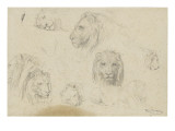 Sept études de têtes de lion, et croquis d'un lion couché reproduction procédé giclée par Rosa Bonheur