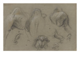 Studies from Different Parts of the Body of a Camel Giclee Print by Pieter Boel