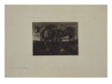 Etude de vaches Reproduction procédé giclée par Paul Gachet
