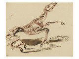 Squelette de cheval reproduction procédé giclée par Eugene Delacroix