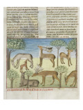 The Book of Gaston Phoebus Hunting: Deer and Nature Giclee Print