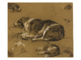 Etude ce chiens reproduction procédé giclée par Louis Haghe