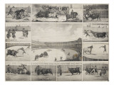 Scènes de tauromachie en Espagne Giclee Print
