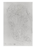 Etude pour Galatée Giclee Print by Gustave Moreau