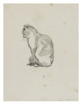 Etude de chat (Villiers) Giclée-Druck von Thomas Couture