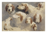 Etude de chien de chasse ; 8 esquisses Giclee-trykk av Rosa Bonheur