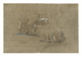 80643 Giclee Print by Pieter Boel