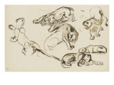 Etudes de fauves dans diverses attitudes reproduction procédé giclée par Eugene Delacroix
