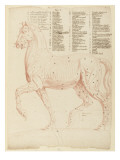 Cheval debout, écorché, tourné à gauche Giclee-trykk av Edme Bouchardon Cheval debout, écorché, tourné à gauche Giclee-trykk av Edme Bouchardon
