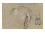 Etudes d'un éléphant, pied et corps vu de dos Lámina giclée por Pieter Boel Etudes d'un éléphant, pied et corps vu de dos Lámina giclée por Pieter Boel