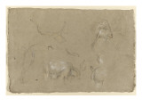 Etudes d'une tête de bouquetin, de cornes, de corps Lámina giclée por Pieter Boel Etudes d'une tête de bouquetin, de cornes, de corps Lámina giclée por Pieter Boel