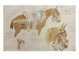 Etude de mule harnachée; 1832 reproduction procédé giclée par Eugene Delacroix